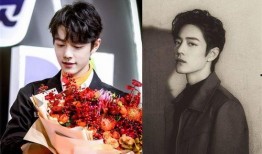 我是黑粉我吃娱乐圈的瓜,我是黑粉，却意外吃尽明星瓜果