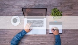 飞机坠机引擎爆料视频,事故真相初露端倪