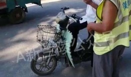 平安大爷最新爆料,最新爆料背后的惊人真相